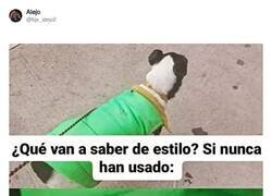 Enlace a Ideal para perros canis