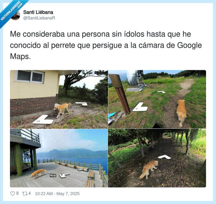 persigue,google maps,perrete