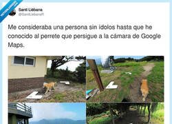 Enlace a Ay qué cuqui, por @SantiLiebanaR