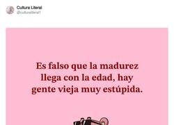 Enlace a Conozco a cada capuIIo que ya calza canas...