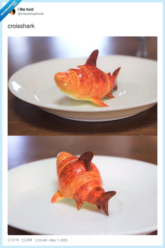 croisshark,tiburon,croissant