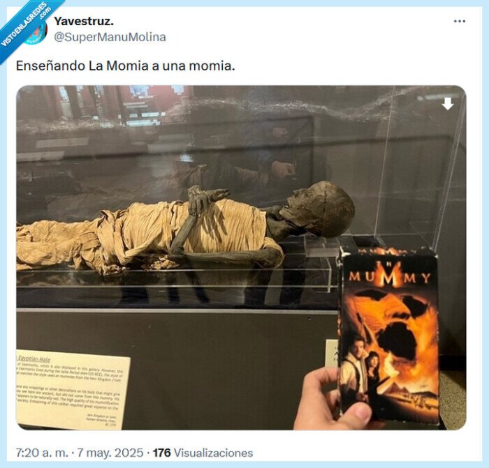 momia,enseñar,película