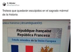 Enlace a Sena de pigcoteo, por @LosPajarosPican