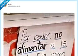 Enlace a También aplica a mi mujer, por @tomiezequiel15