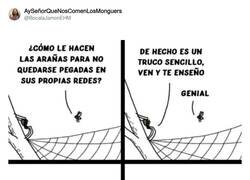 Enlace a Creo que peligras, amiga