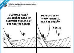 Enlace a Creo que peligras, amiga