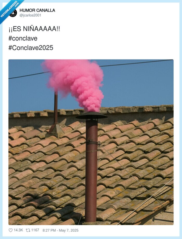conclave2025,niñaaaaa,humo,rosa