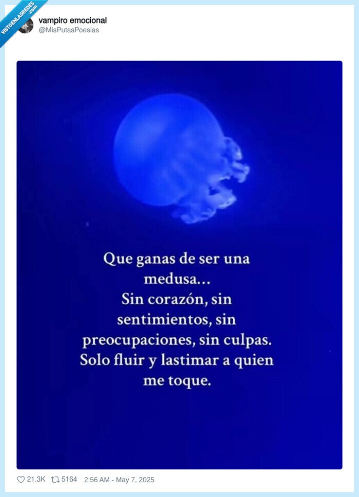 medusa,corazón,sentimientos