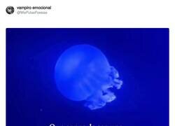 Enlace a Quiero ser medusa, por @MisPutasPoesias
