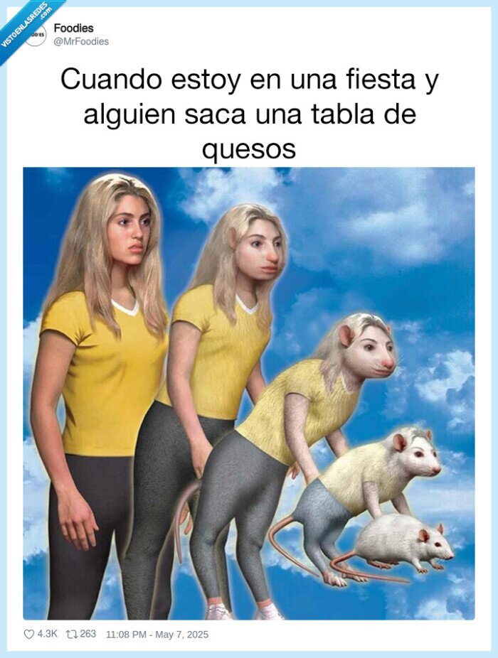 rata,tabla,quesos,transformarse