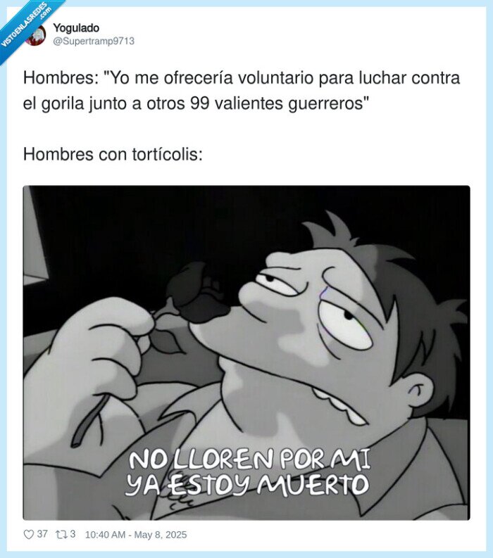 tortícolis,ofrecerse,voluntario,guerreros,hombres,gorila
