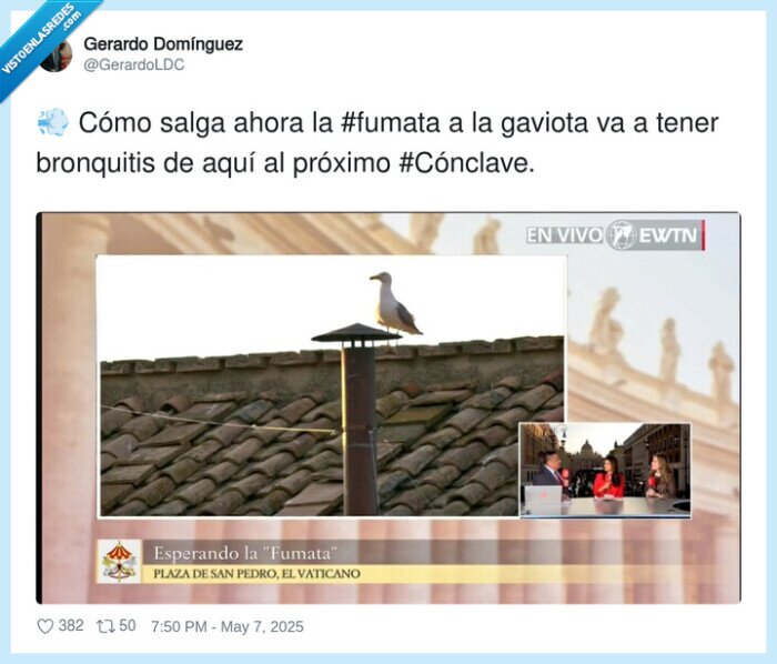 cónclave,bronquitis,fumata,gaviota