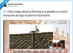 Enlace a La gaviota se huele algo, por @GerardoLDC