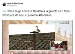 Enlace a La gaviota se huele algo, por @GerardoLDC