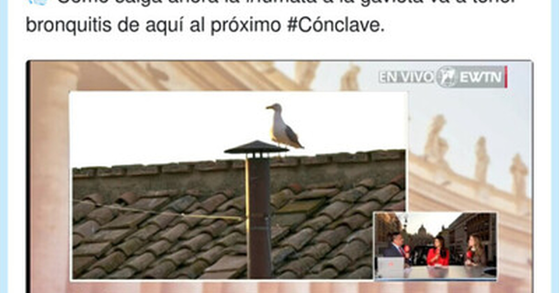 La gaviota se huele algo, por @GerardoLDC