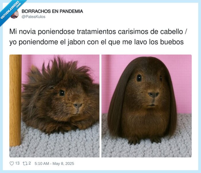 tratamientos,pelo,novia,liso,gel,champú