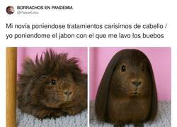 Enlace a Me odia por ello, por @PateaKulos