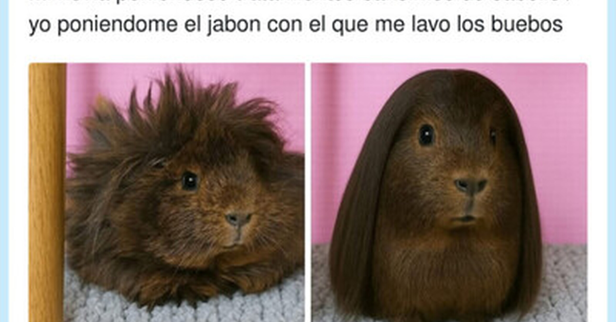 Me odia por ello, por @PateaKulos