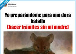 Enlace a Momento de madurar