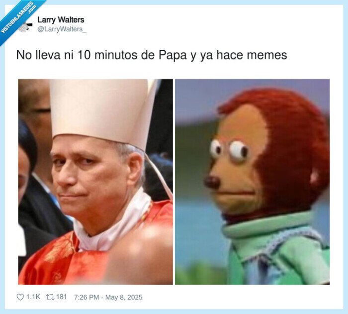 papa leon xiv,meme,risas,mono pepe