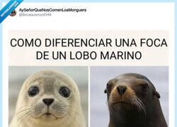 Enlace a Espero que quede claro