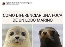 Enlace a Espero que quede claro