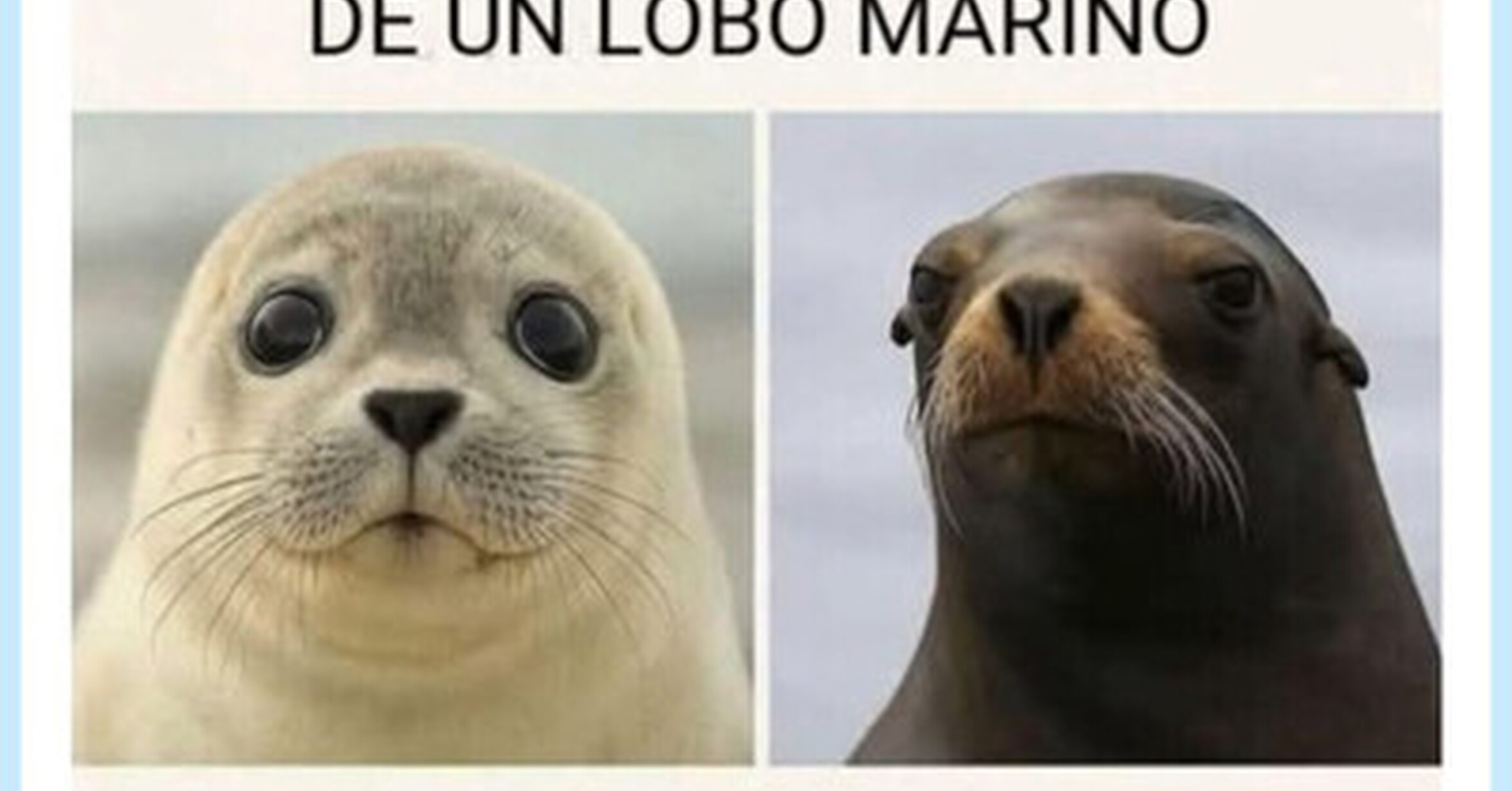 Espero que quede claro