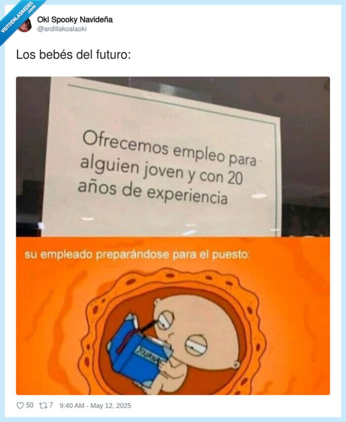 bebés,futuro,trabajo,experiencia