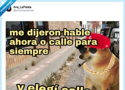 Enlace a Siempre calle