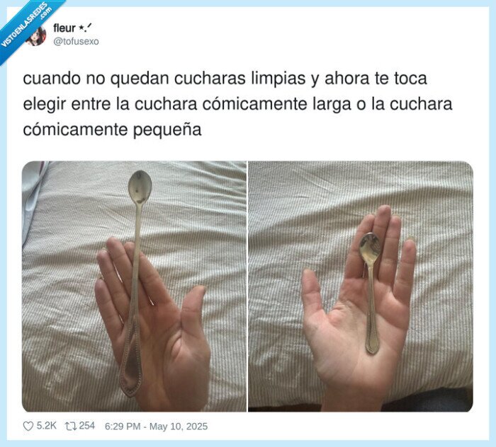 cucharas,pequeña,limpiar,cuchara