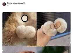 Enlace a Pobres gatetes, por @ErigolDelViento