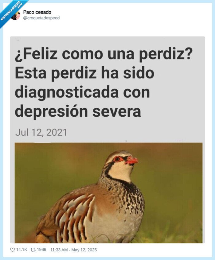 feliz,perdiz,depresión