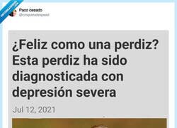 Enlace a Pues resulta que no son tan felices, por @croquetadespeed