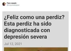 Enlace a Pues resulta que no son tan felices, por @croquetadespeed