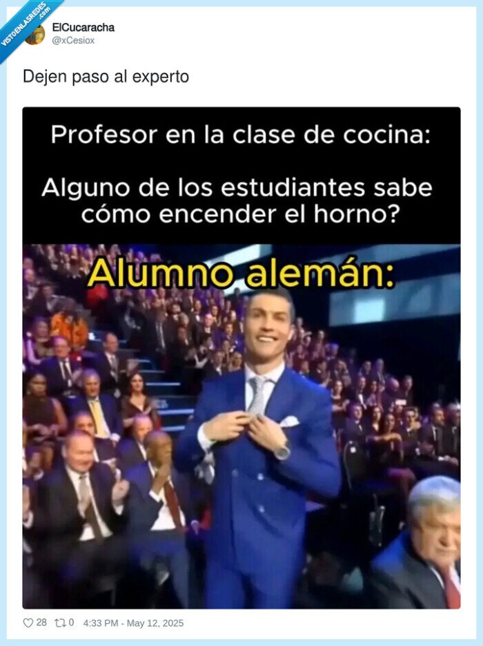 horno,cocina,alemán