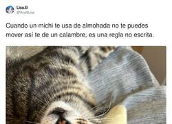 Enlace a Ley 5 del manual del michi, por @Ana9Lisa