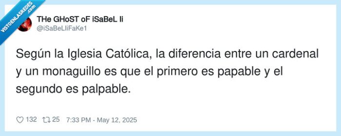 católica,diferencia,monaguillo,cardenal,palpable,iglesia