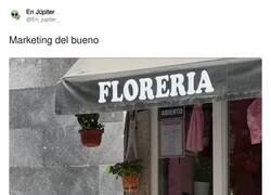 Enlace a Pues tiene razón, por @En_jupiter_