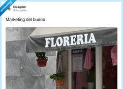 Enlace a Pues tiene razón, por @En_jupiter_