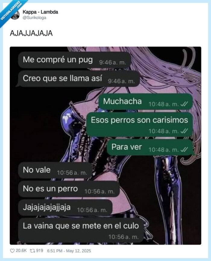 plug,mejor,pug,comprar