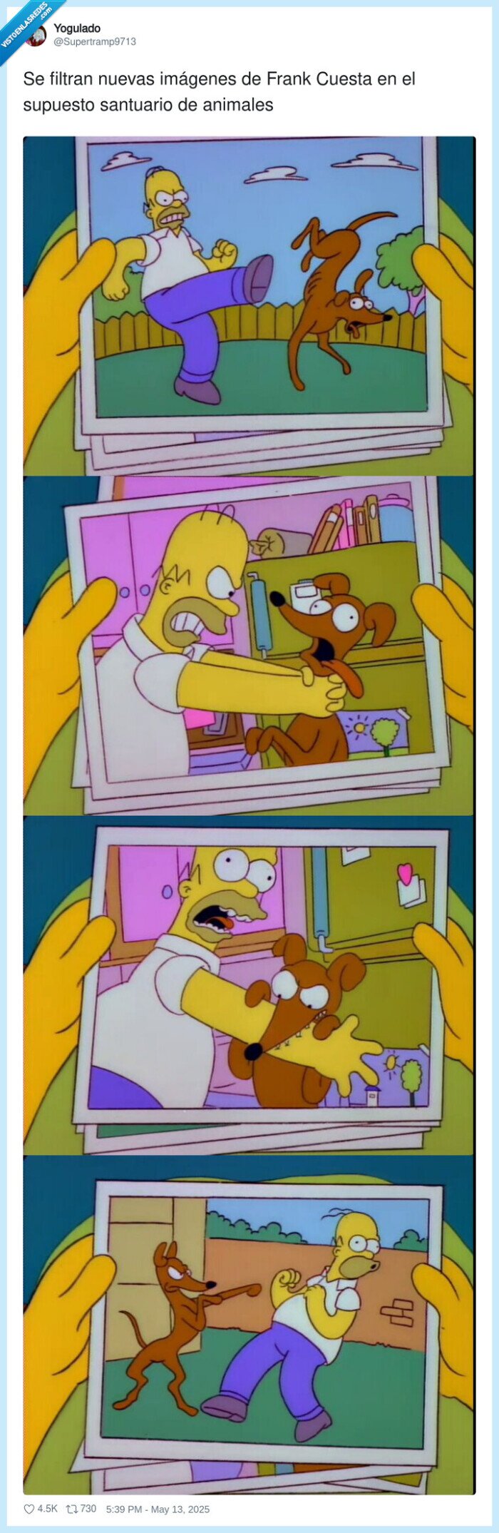 santuario,imágenes,frank cuesta,animales,filtrarse