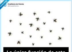 Enlace a Eso que se lleva, por @EnsedeCiencia