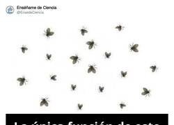 Enlace a Eso que se lleva, por @EnsedeCiencia