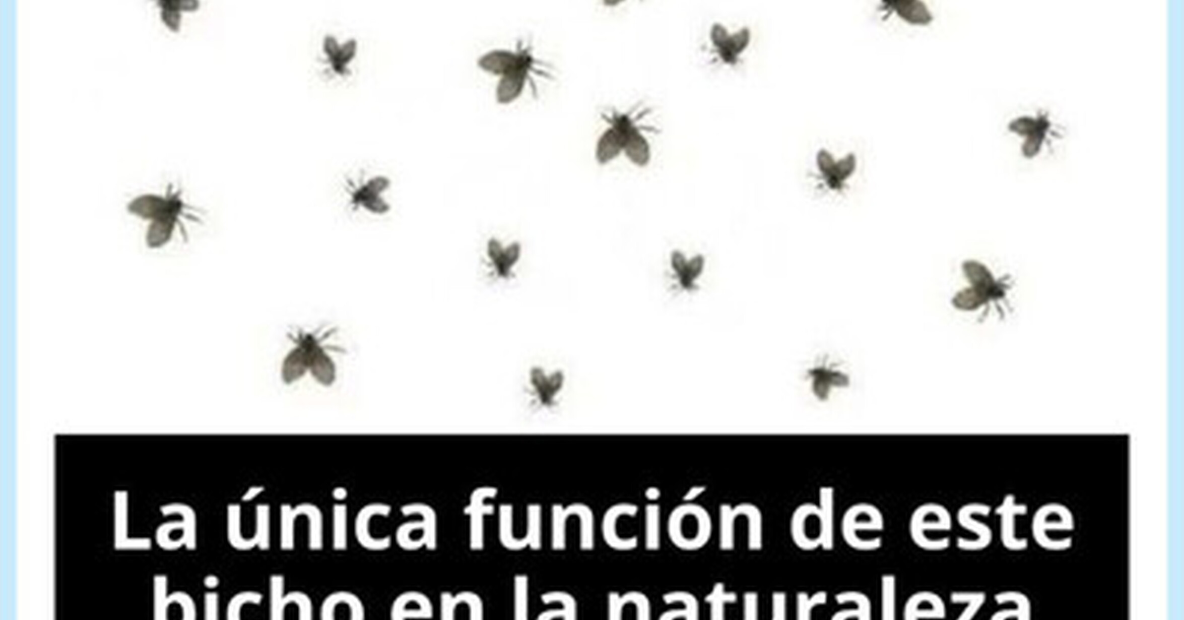 Eso que se lleva, por @EnsedeCiencia