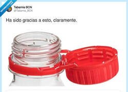 Enlace a Gracias a todos por participar