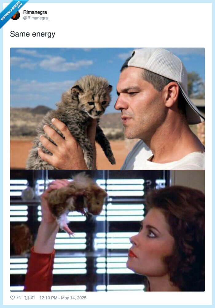 V,frank cuesta,estafador