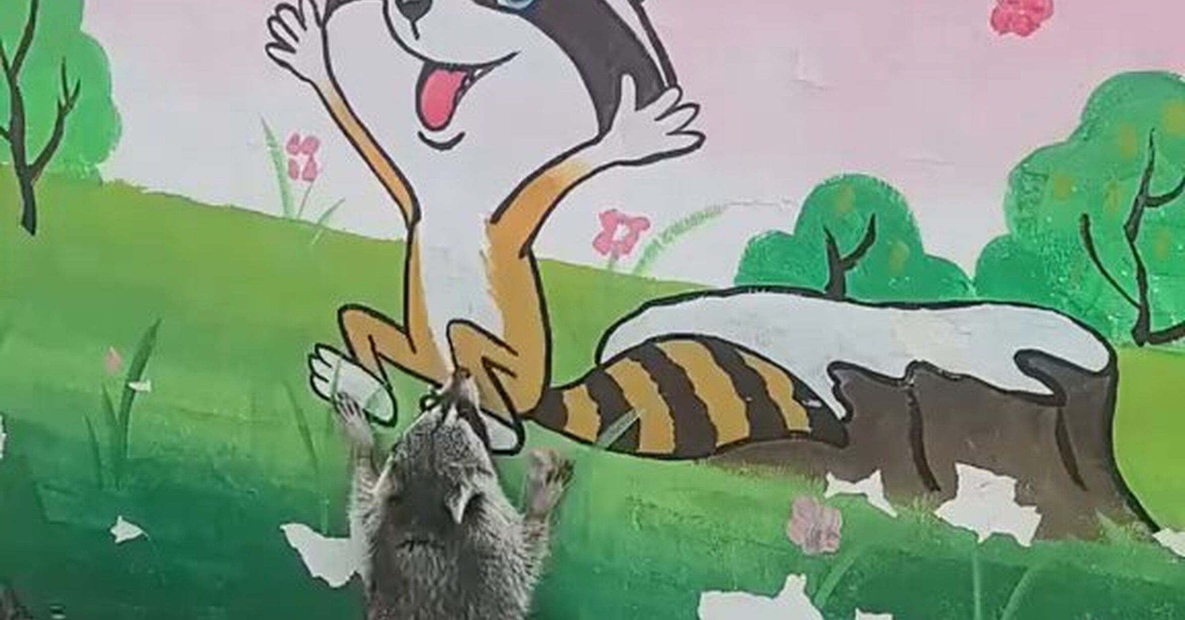 Cuando te ves en una foto