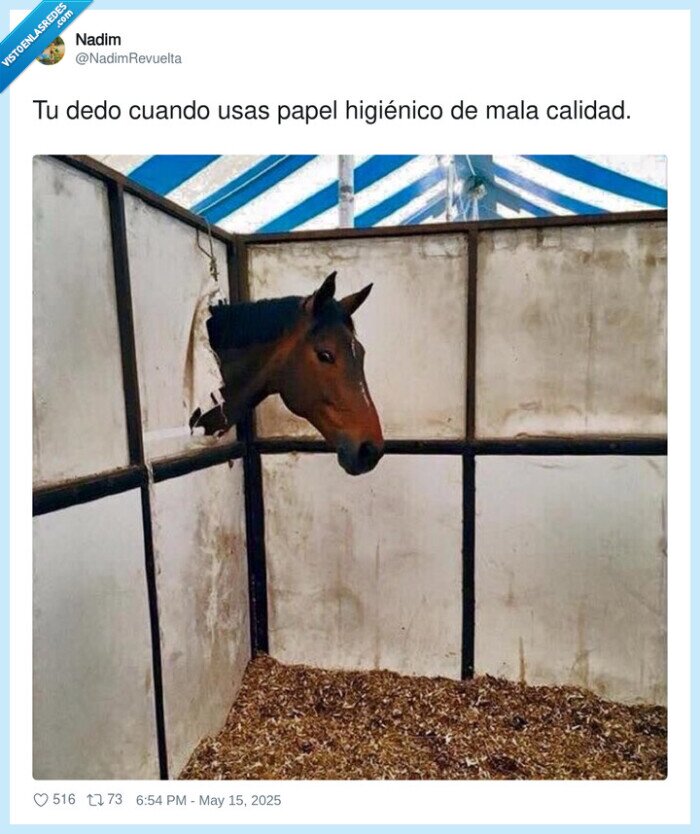 papel higiénico,calidad,mala,dedo,caballo