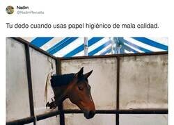 Enlace a ¿Demasiado explícito?, por @NadimRevuelta