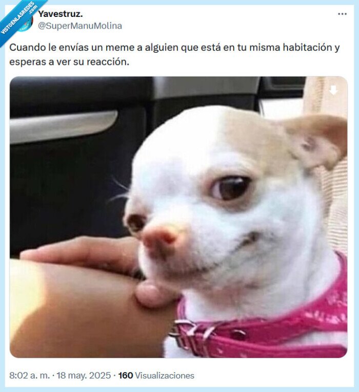 reacción,meme,habitación